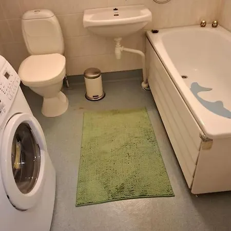 Tunnelmallinen Retroyksioe * 로바니에미