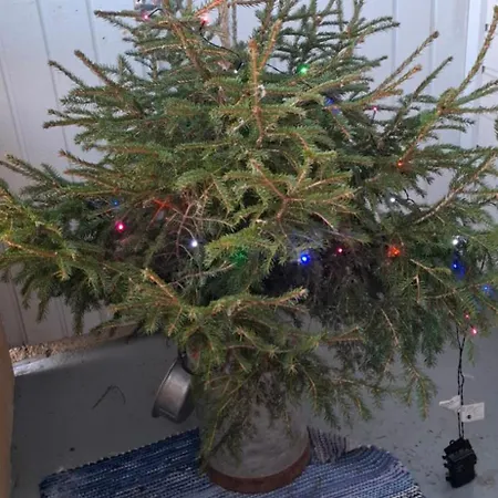 Tunnelmallinen Retroyksioe Appartement *